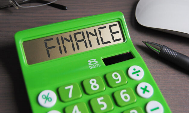 Entre les mailles du filet : Aventures fiscales insolites et conseils essentiels pour les entrepreneurs chevronnés