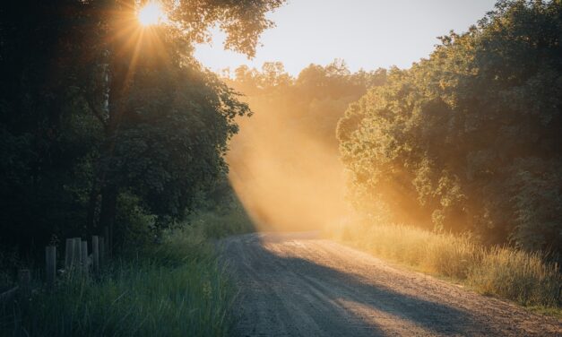 Quelle est la liste des pays du monde commençant par M ?