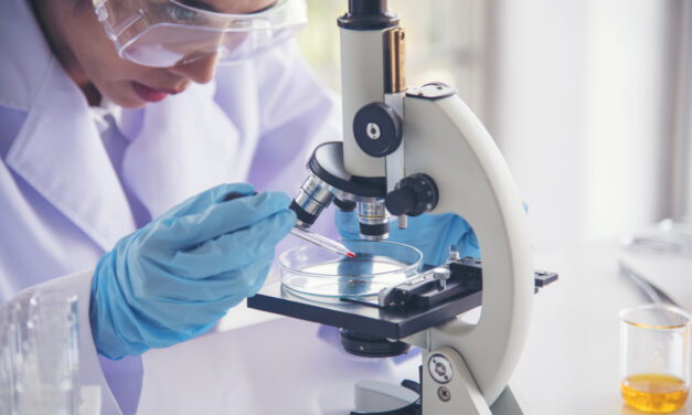 Capacité thermique des matériaux : enjeux et innovations dans la mesure précise