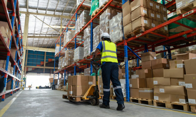 Protection des marchandises : stratégies pour une sécurité optimale en entrepôt